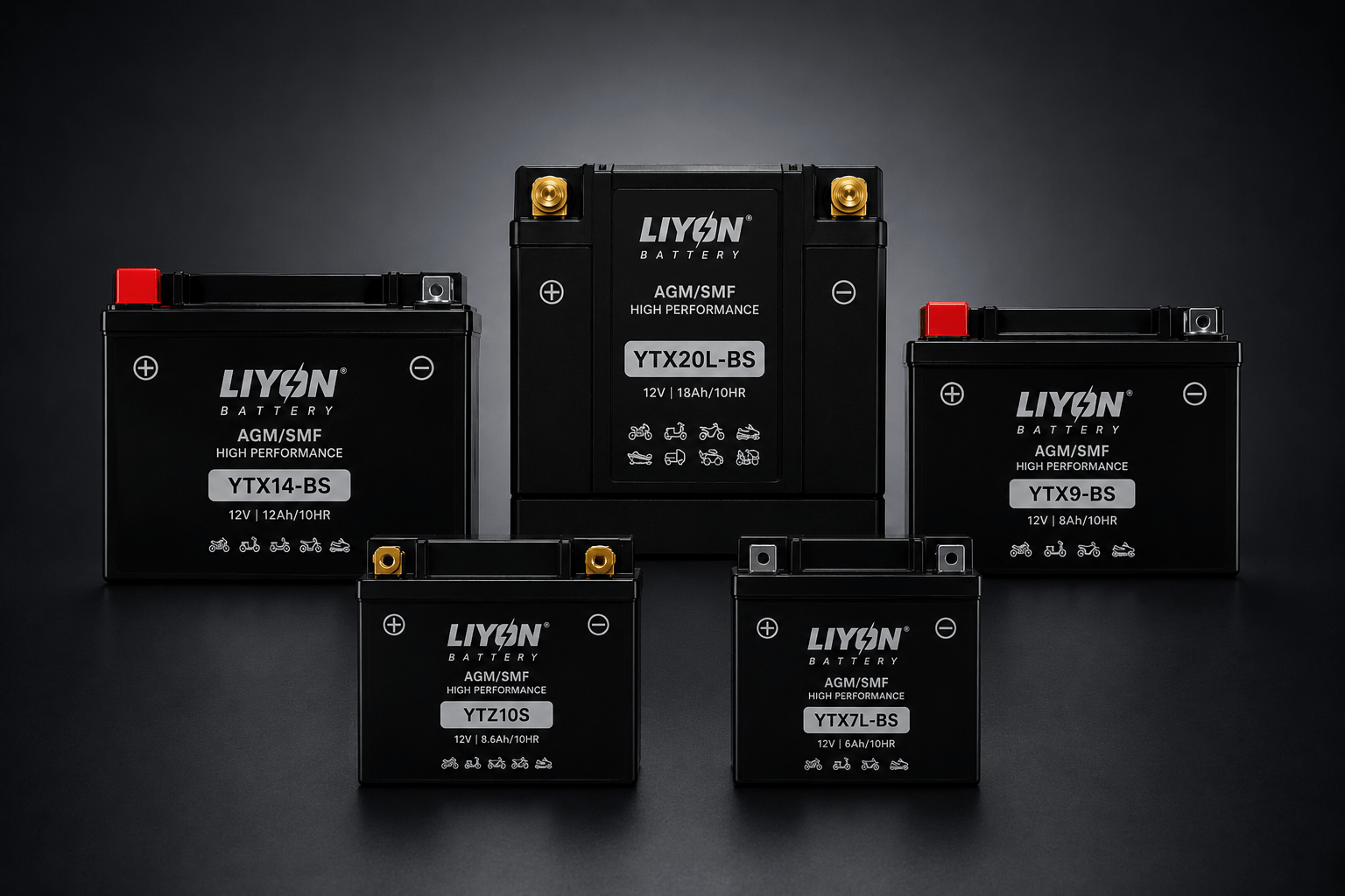 LIYON AGM & SMF Batterien