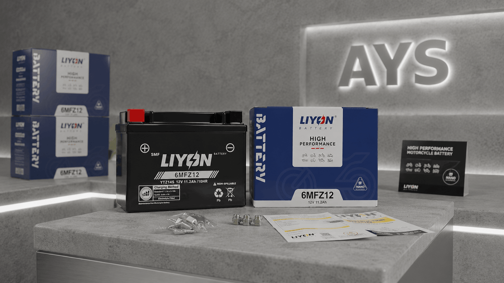 LIYON YTZ14-S AGM Motorradbatterie – Werkaktivierte Premium-Startkraft