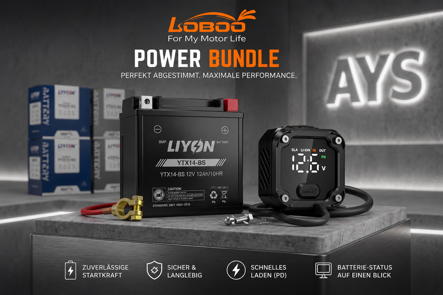 AYS Motors „Power & Rescue“ Bundle – LIYON YTX14-BS Batterie & LOBOO C36 Bi-Direktionales 130W Ladegerät